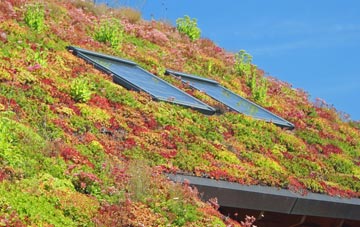 Hill Wood living roof systems