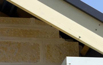 soffit repair Hill Wood